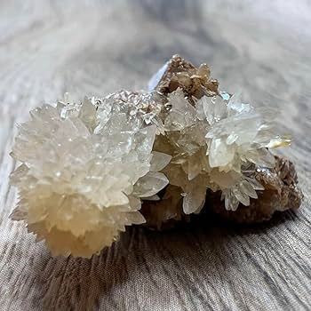 鉱物、岩石、原石など全40種 鉱物、岩石、原石など全40種